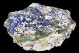 Sparkling Azurite and Malachite Crystal Cluster - Morocco #128171-1